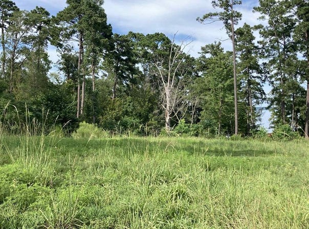 956 Nine Mile Road, Milam, TX 75975