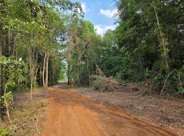0 Cedar Springs Road, Cedar Springs, GA 39832