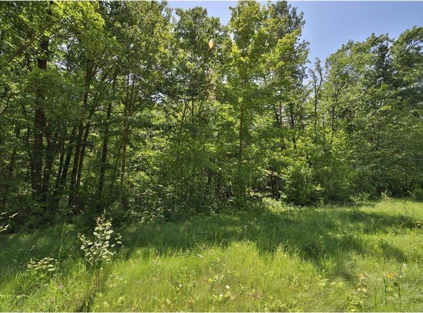 Tract C Olander Road, Crosby, MN 56441