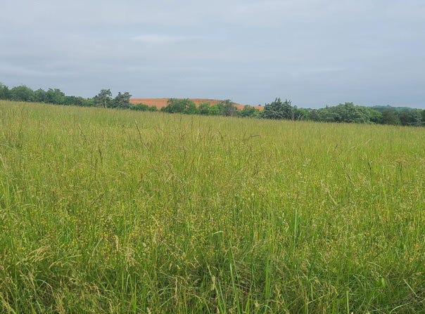Lot 5 Valley Home Road, Dandridge, TN 37725