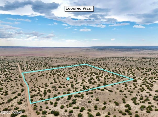 0 RD 7124, St. Johns, AZ 85936