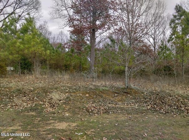 Lot 15 Strickland Farms, Byhalia, MS 38611