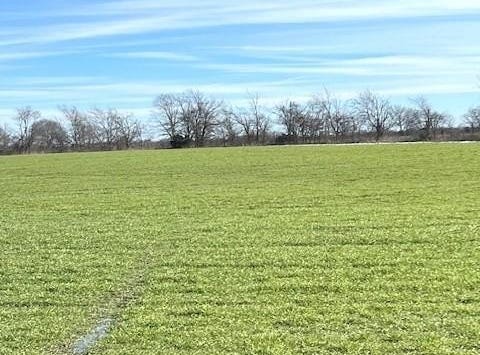 7.2ac Farm Road 824, Roxton, TX 75477