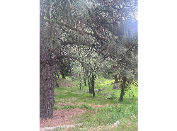 0 Jewel, Crestline, CA 92325