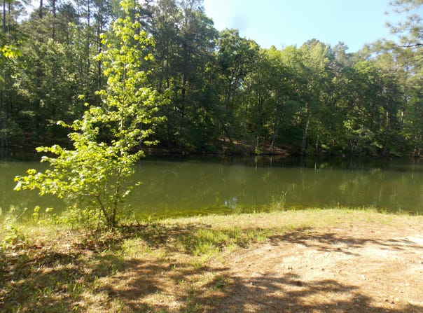 12 RIVERVIEW Court, Lincolnton, GA 30817