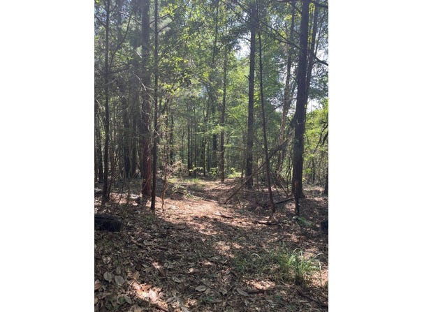 0 Fools Acre Rd, Jackson, AL 36545