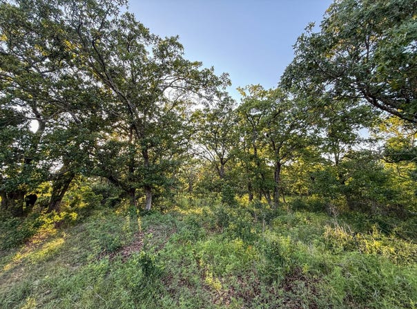 Tract 2 Shady Grove Rd, Wardville, OK 74576