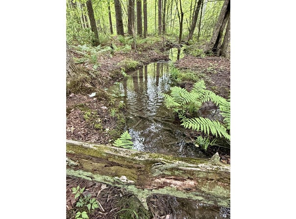 000 Sullivan Road, Dunlap, TN 37327