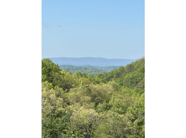 OFF Black Valley (459 acres) Road, Sneedville, TN 37869