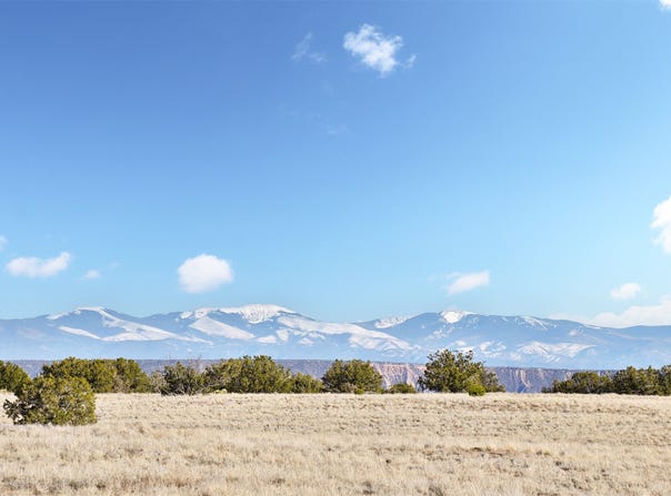 Laredowood Drive lot: 16-B, Medanales, NM 87548