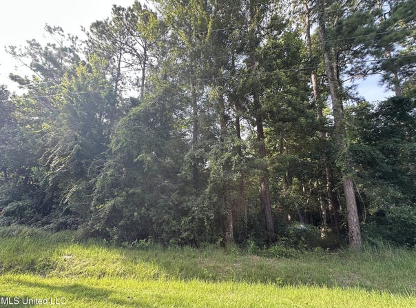 0 Op La Way, Diamondhead, MS 39525