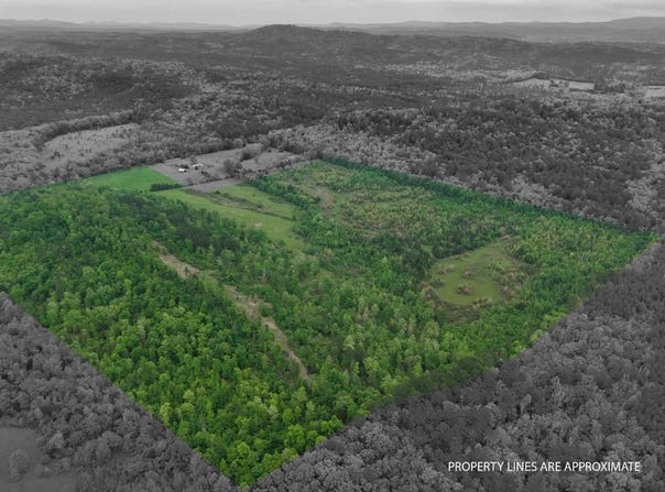 TBD Ryan Road, Oden, AR 71961