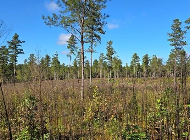Millville Rd lot: B, Lawrenceville, VA 23868