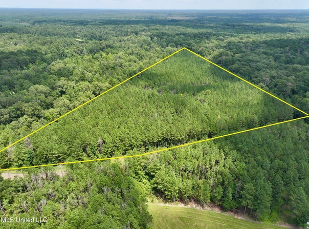 Miggins Road, Canton, MS 39046