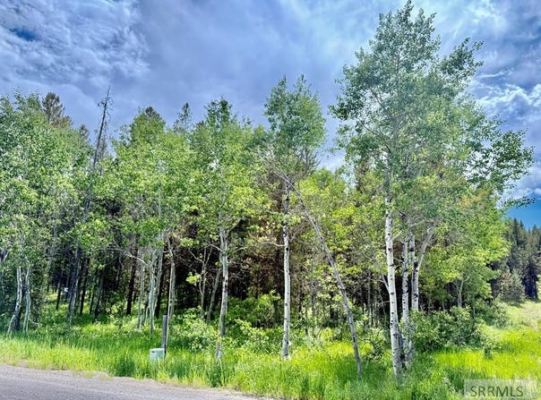 4498 Stone Run, Island Park, ID 83429