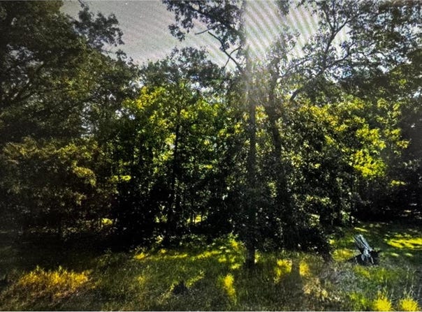 340 State 84 SW, Barclay Twp, MN 56474