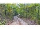 80+/-Acres Proctor Lane, Gravois Mills, MO 65037