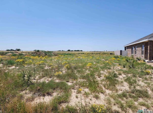 1825 Quail-Wood Drive, Portales, NM 88130