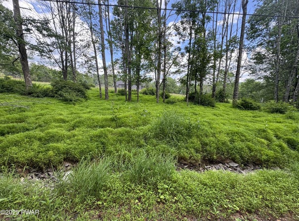 Lot #722 Bear Tree Road, Lake Ariel, PA 18436