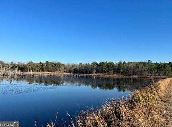 010 Mallard Circle, Butler, GA 31006