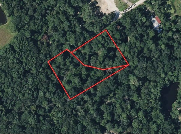 11760 Long Tree Lane, TX 77303