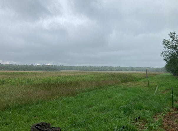 125.87 Acres JOHNS LANE, Medford, WI 54451