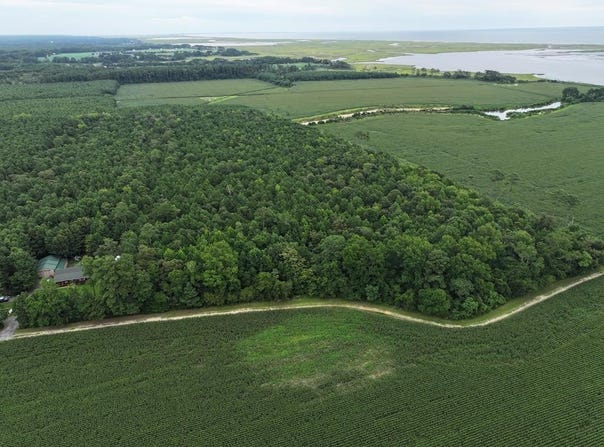 FOX GROVE RD lot: 0, PARKSLEY, VA 23421