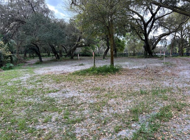 CHAMELEON ROAD, PIERSON, FL 32180