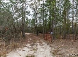 3057 W Scooter Lane, Dunnellon, FL 34433