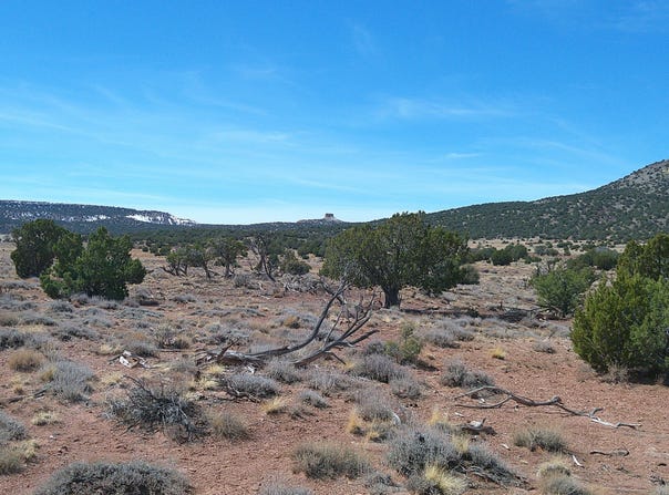 Tbd Windsor Valley Ranch, Concho, AZ 85924