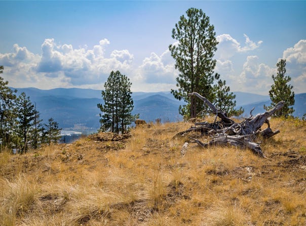 222 Eagle View Road, Kila, MT 59920