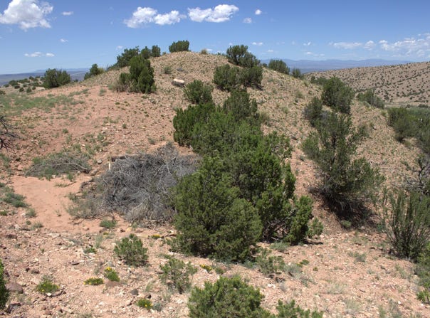 Tres Amigos, Placitas, NM 87043