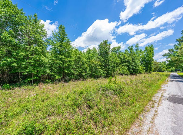 0 Park Circle, Branchville, SC 29432