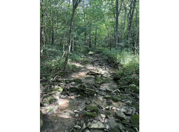 781 Apple Lane, Cynthiana, KY 41031