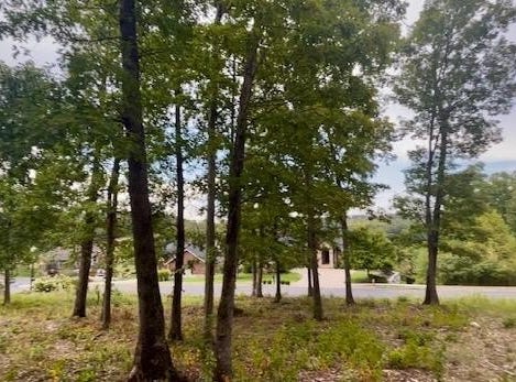 Pinehurst Court, Branson, MO 65616