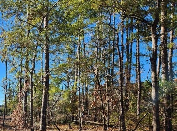 Fletcher Key Street lot: 197, Southport, NC 28461