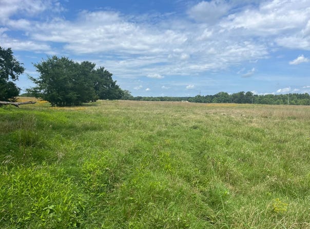 Tract 21  Bean Patch Loop, Howe, OK 74940