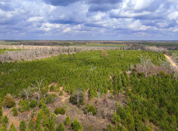 0 Highland Rd, Slocomb, AL 36375