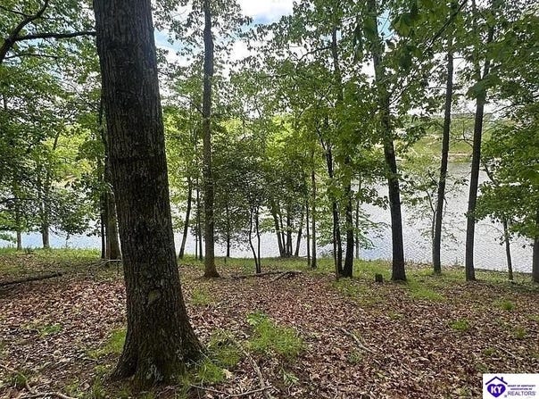 Lakeshore Parkway lot: 62, Brandenburg, KY 40108