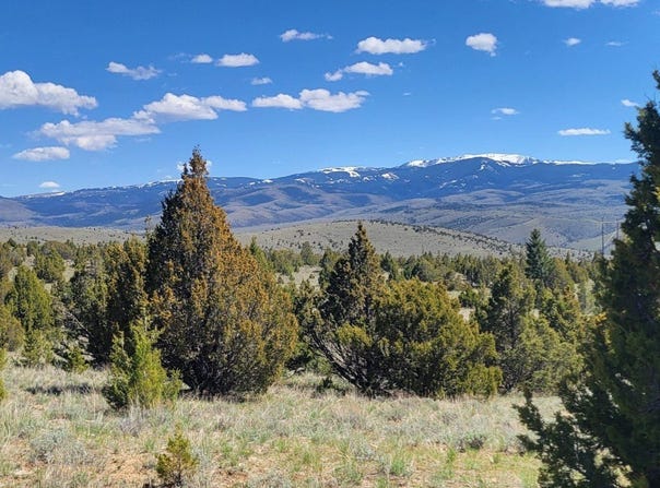 Alder, MT 59710