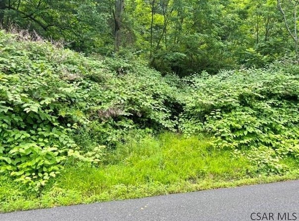Moonshine Hollow Rd., Johnstown, PA 15905