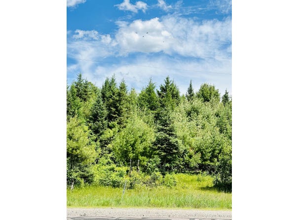 M95 Highway, Republic, MI 49879