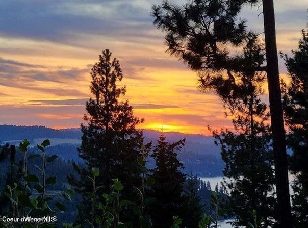 5254 E Mabel Ln, Harrison, ID 83833