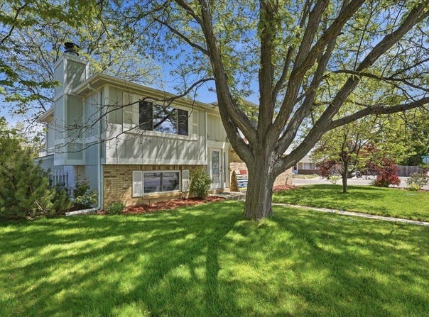 981 Nantucket St, Windsor, CO 80550