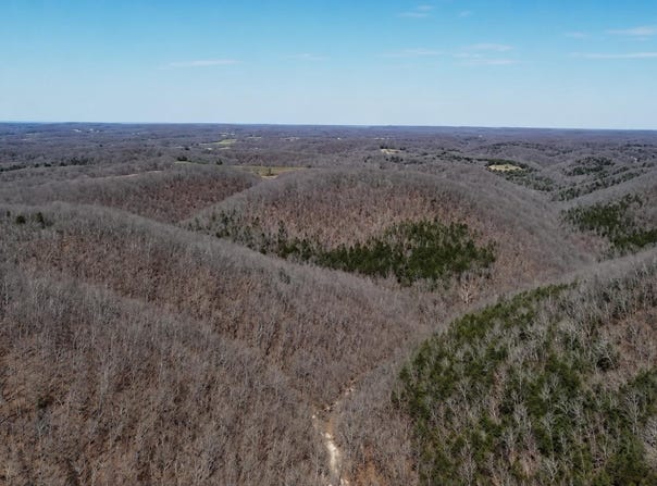 Burk Road, Highlandville, MO 65669