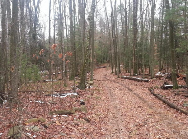 State Rte 4005, Sweet Valley, PA 18621
