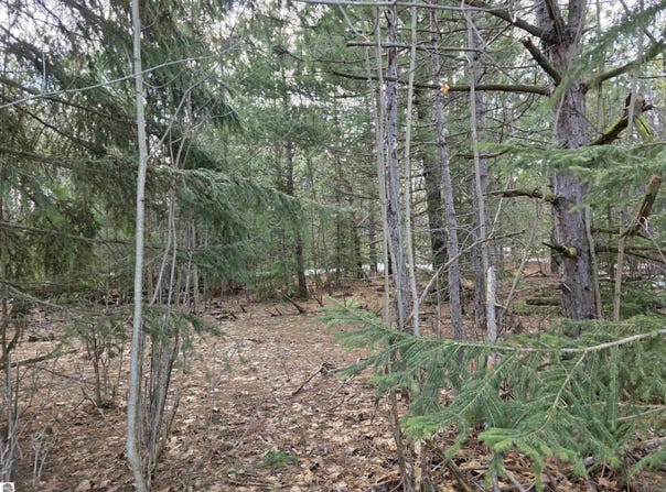 0001 Cedar River Road, Mancelona, MI 49659