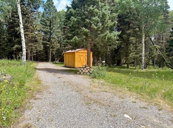 450 Hazel Lake Drive, Cimarron, CO 81220