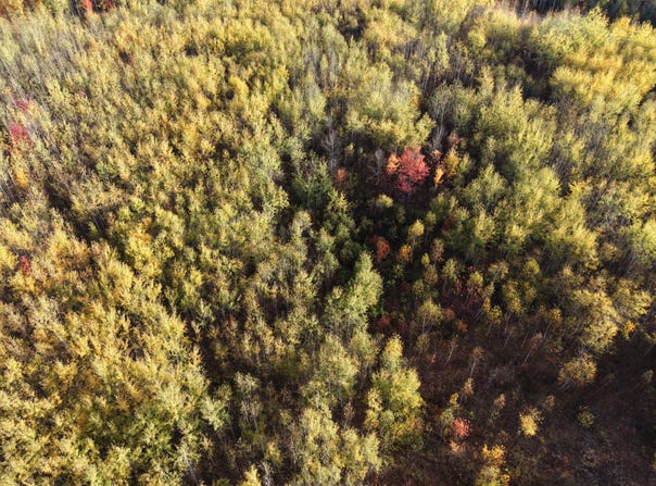 ON CTH W, Winter, WI 54896