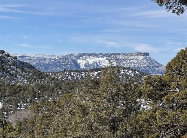 Road 41.4, Mancos, CO 81328